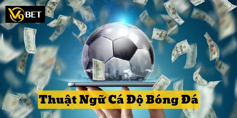 Thuật Ngữ Cá Độ Bóng Đá là gì?